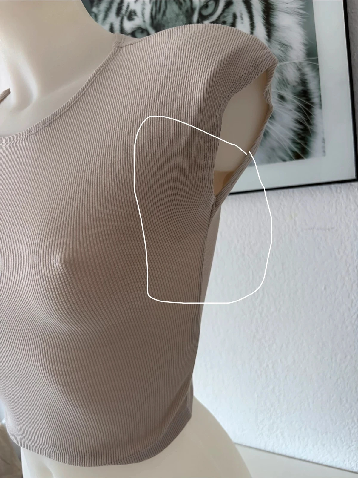 🎁 Crop top acanalado beige – Stradivarius – Talla S – photo 3